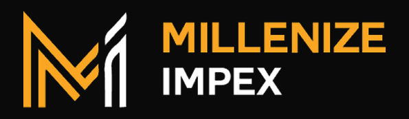Millenize Impex Logo